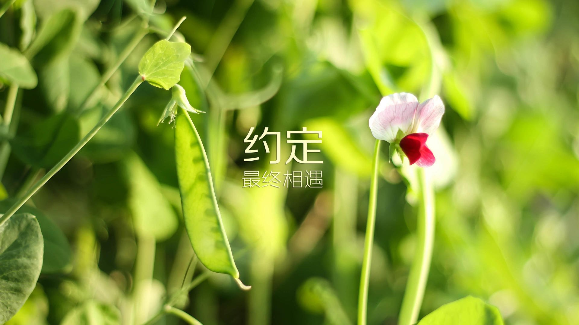 爱游戏用户专属-TES推动电竞运动安全设备标准制定，电竞 运动
