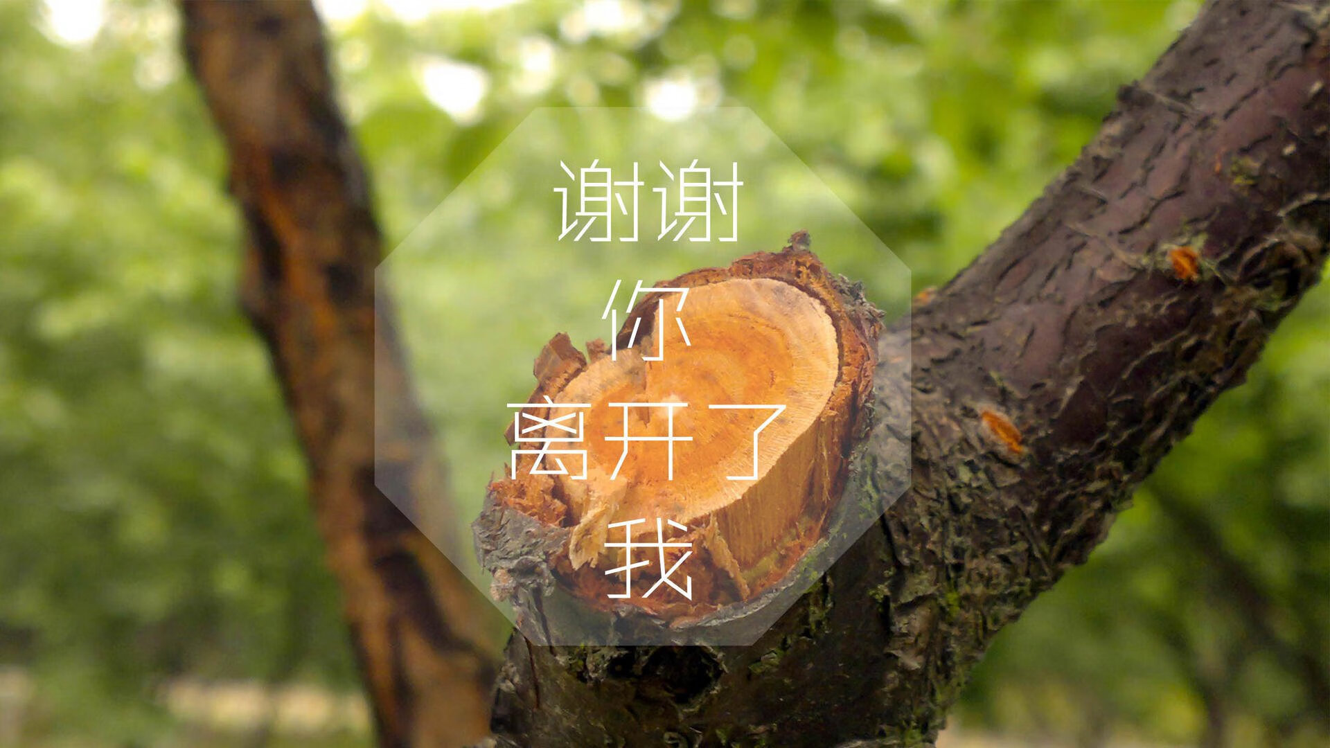 爱游戏官网-东契奇助攻创新高独行侠大胜，东契奇和独行侠签了几年合同