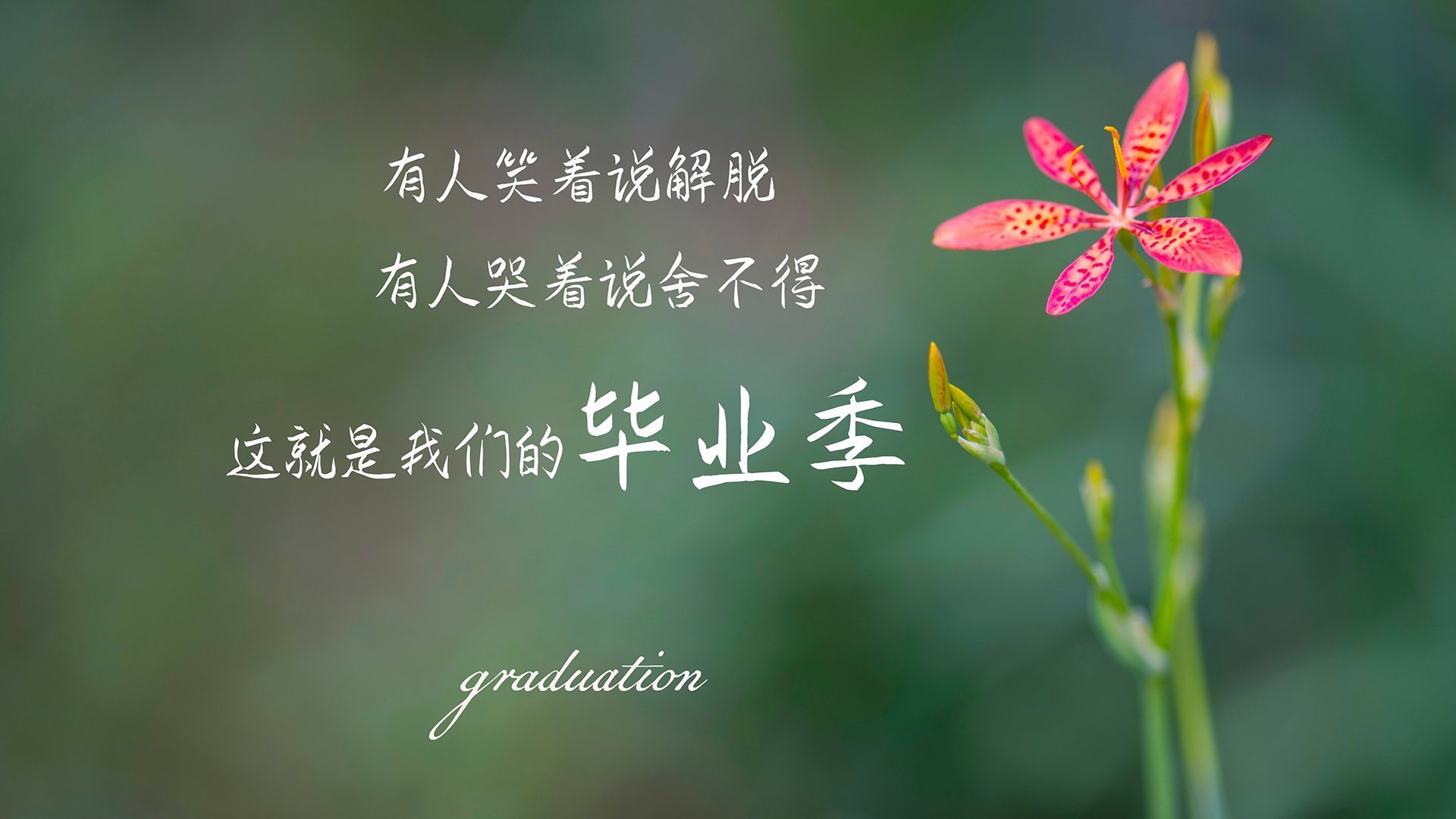 中超各队关键球员缺阵影响评估,中超 队伍