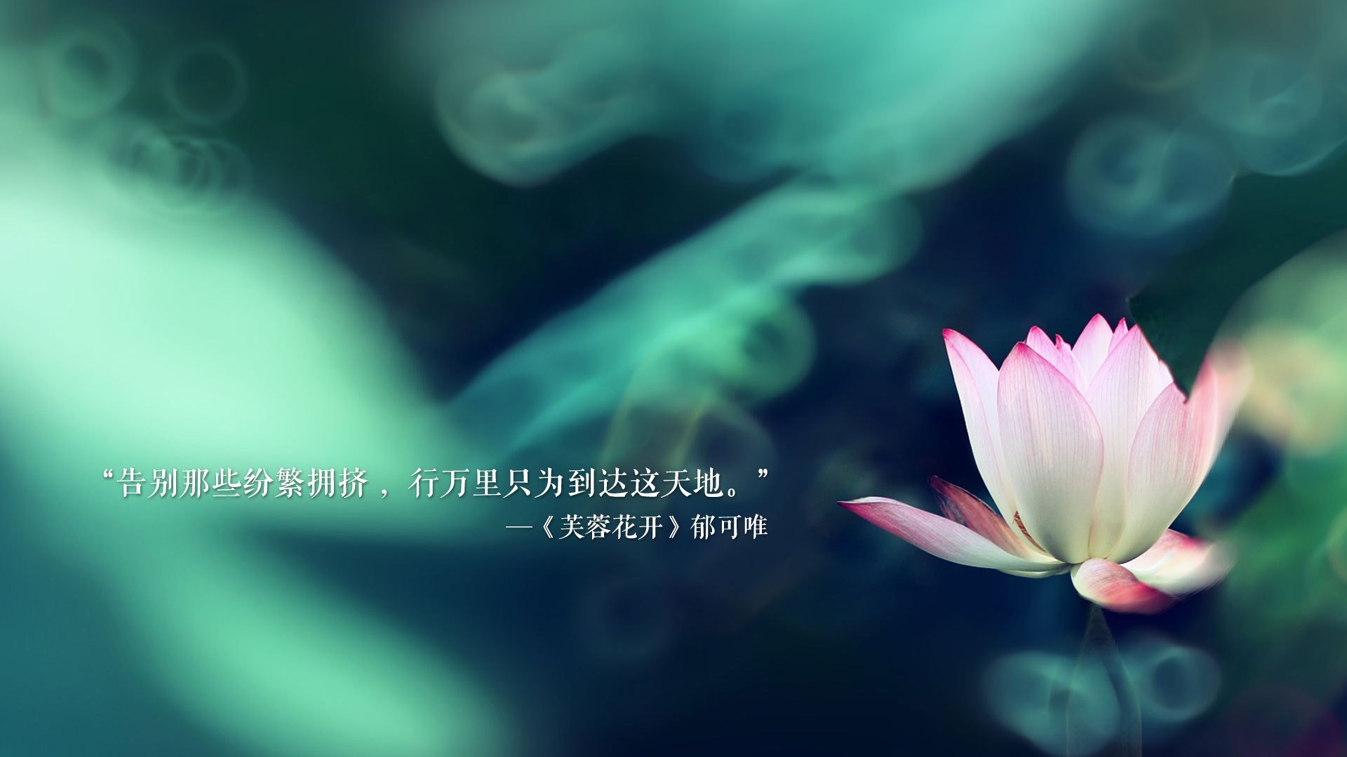 体育产业品牌联盟建设,体育产业联合会成立大会